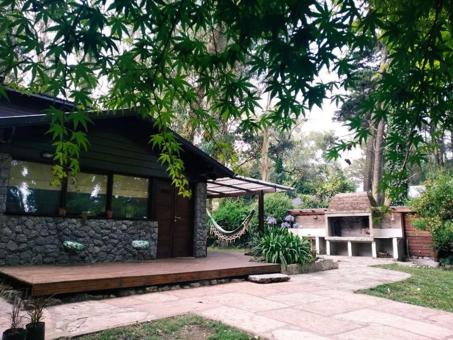 Tierra De Bosque *