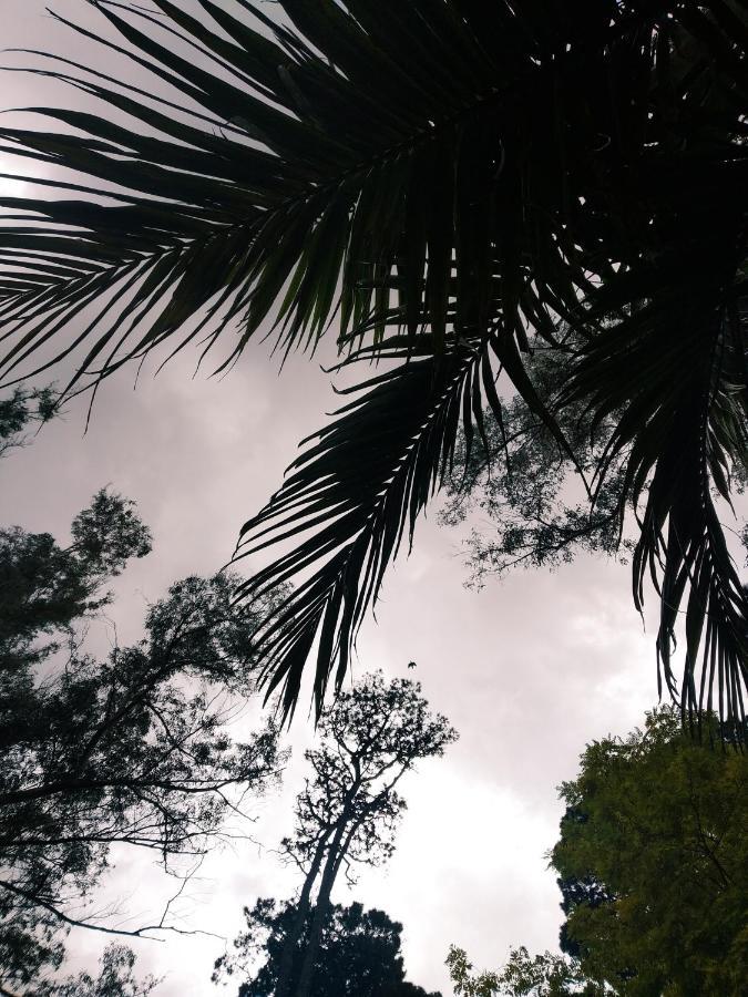 Tierra De Bosque Сasa de vacaciones Mar del Plata